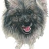 Pets - Image 4