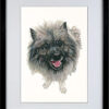 Pets - Image 3